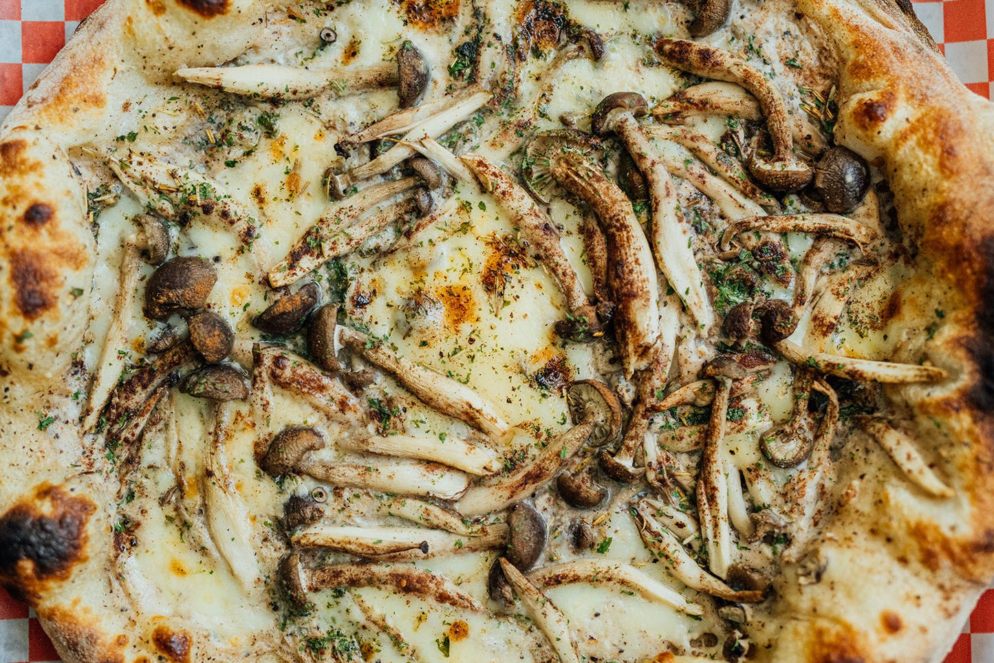 Mushaboom 2.0 - G Pizzas 