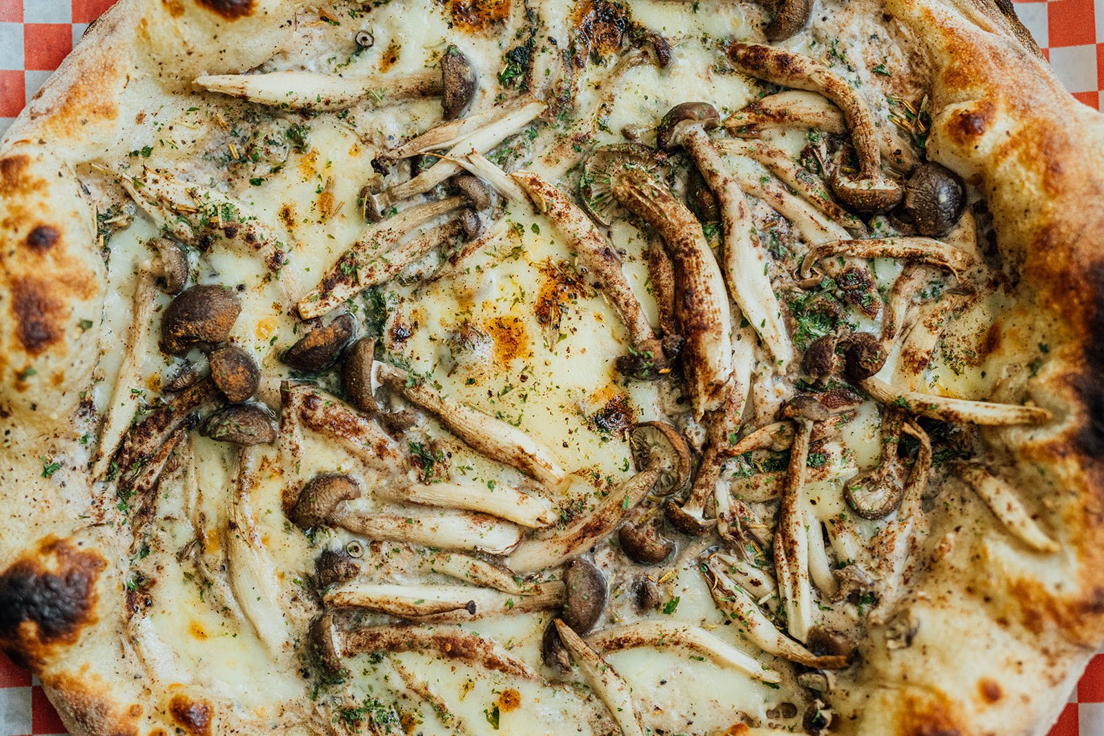 Mushaboom 2.0 - G Pizzas 